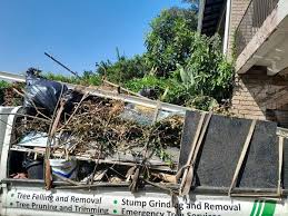 Best Yard Waste Removal  in South Hempstead, NY